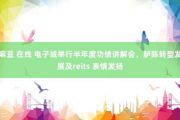 麻豆 在线 电子城举行半年度功绩讲解会，胪陈转型发展及reits 表情发扬