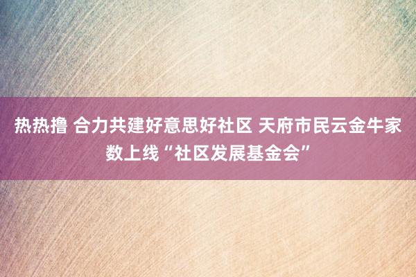 热热撸 合力共建好意思好社区 天府市民云金牛家数上线“社区发展基金会”