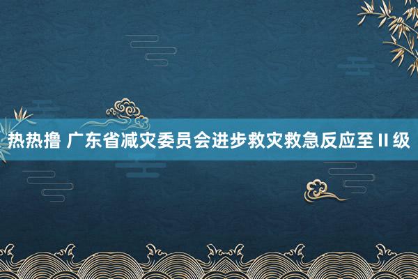 热热撸 广东省减灾委员会进步救灾救急反应至Ⅱ级