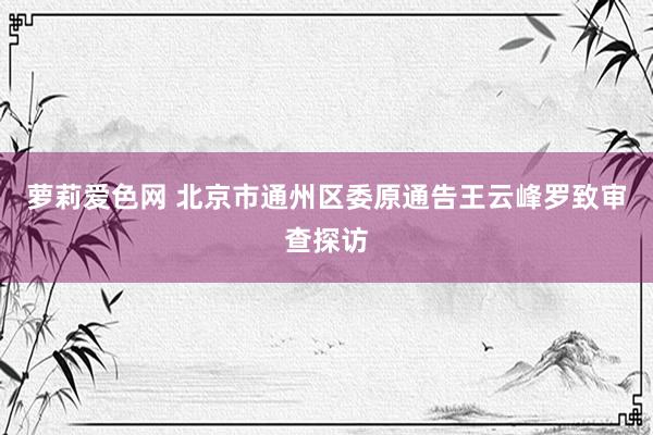 萝莉爱色网 北京市通州区委原通告王云峰罗致审查探访