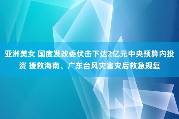 亚洲美女 国度发改委伏击下达2亿元中央预算内投资 援救海南、广东台风灾害灾后救急规复