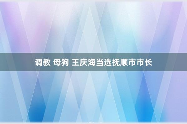 调教 母狗 王庆海当选抚顺市市长