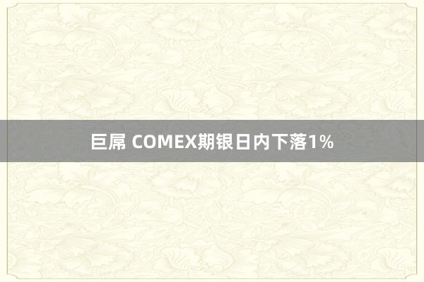 巨屌 COMEX期银日内下落1%