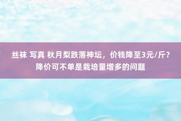 丝袜 写真 秋月梨跌落神坛，价钱降至3元/斤？降价可不单是栽培量增多的问题