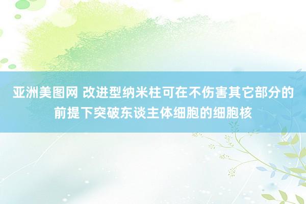 亚洲美图网 改进型纳米柱可在不伤害其它部分的前提下突破东谈主体细胞的细胞核