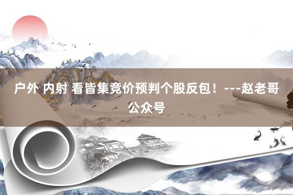 户外 内射 看皆集竞价预判个股反包！---赵老哥公众号