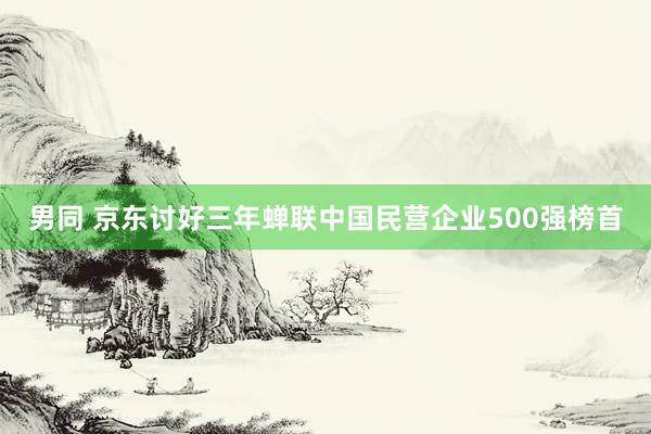 男同 京东讨好三年蝉联中国民营企业500强榜首