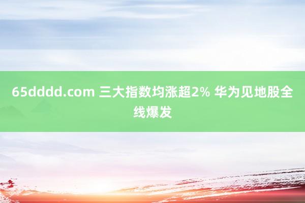 65dddd.com 三大指数均涨超2% 华为见地股全线爆发