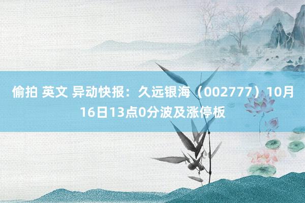 偷拍 英文 异动快报：久远银海（002777）10月16日13点0分波及涨停板