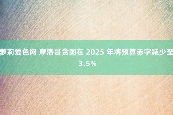 萝莉爱色网 摩洛哥贪图在 2025 年将预算赤字减少至 3.5%