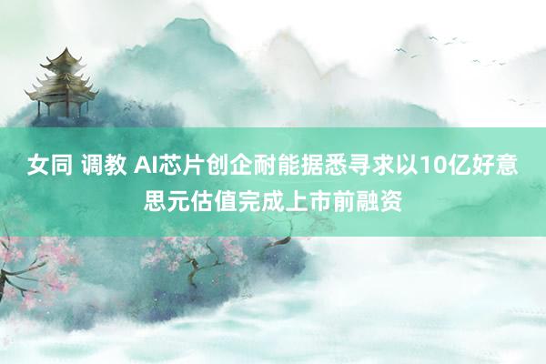 女同 调教 AI芯片创企耐能据悉寻求以10亿好意思元估值完成上市前融资