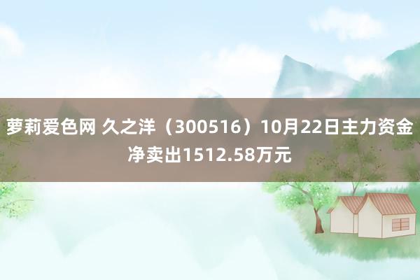 萝莉爱色网 久之洋（300516）10月22日主力资金净卖出1512.58万元