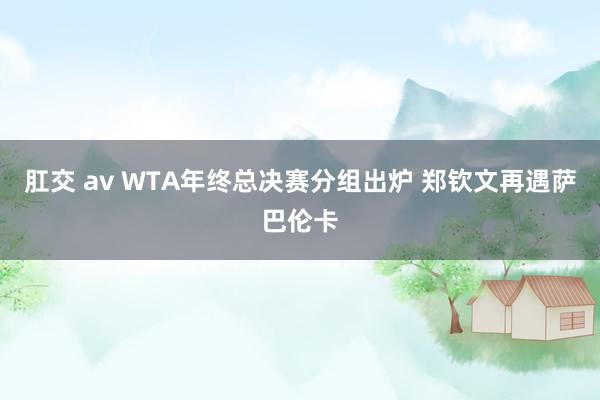 肛交 av WTA年终总决赛分组出炉 郑钦文再遇萨巴伦卡