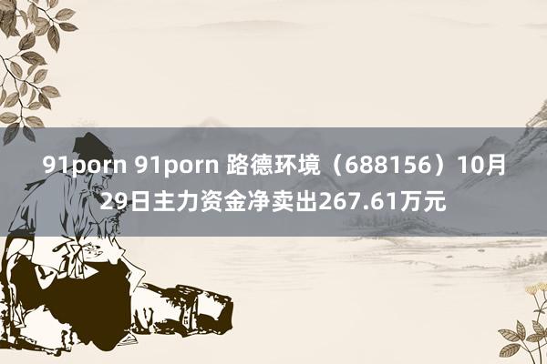 91porn 91porn 路德环境（688156）10月29日主力资金净卖出267.61万元