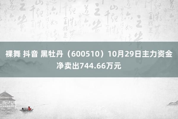 裸舞 抖音 黑牡丹（600510）10月29日主力资金净卖出744.66万元