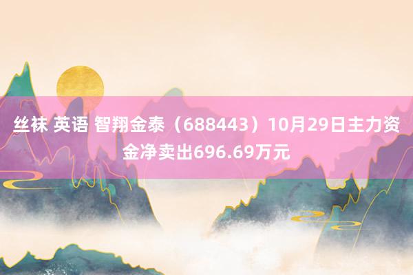 丝袜 英语 智翔金泰（688443）10月29日主力资金净卖出696.69万元