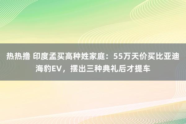 热热撸 印度孟买高种姓家庭：55万天价买比亚迪海豹EV，摆出三种典礼后才提车