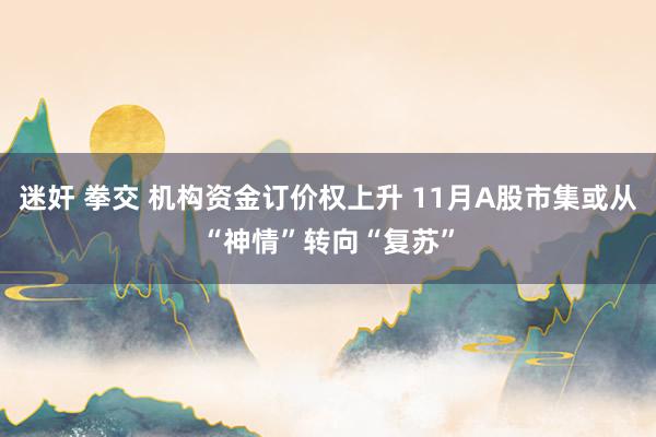 迷奸 拳交 机构资金订价权上升 11月A股市集或从“神情”转向“复苏”