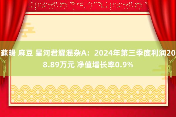 蘇暢 麻豆 星河君耀混杂A：2024年第三季度利润208.89万元 净值增长率0.9%