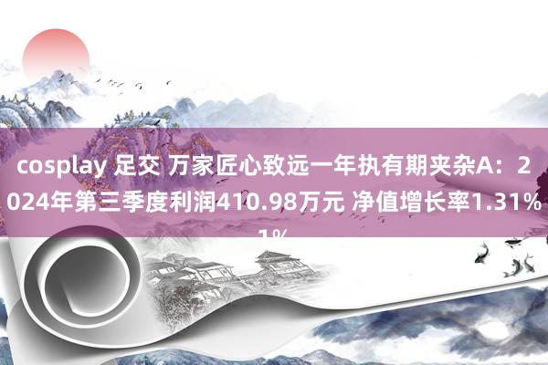 cosplay 足交 万家匠心致远一年执有期夹杂A：2024年第三季度利润410.98万元 净值增长率1.31%