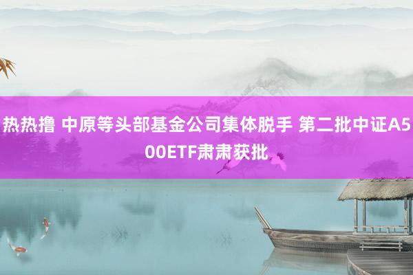 热热撸 中原等头部基金公司集体脱手 第二批中证A500ETF肃肃获批