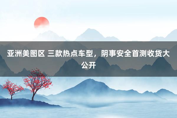 亚洲美图区 三款热点车型，阴事安全首测收货大公开