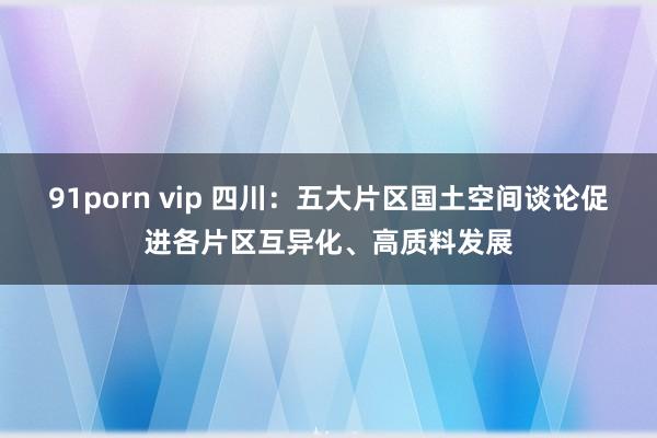 91porn vip 四川：五大片区国土空间谈论促进各片区互异化、高质料发展