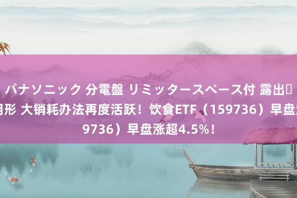 パナソニック 分電盤 リミッタースペース付 露出・半埋込両用形 大销耗办法再度活跃！饮食ETF（159736）早盘涨超4.5%！