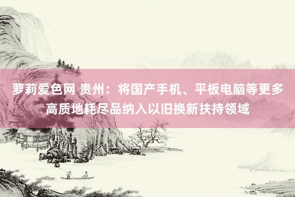 萝莉爱色网 贵州：将国产手机、平板电脑等更多高质地耗尽品纳入以旧换新扶持领域