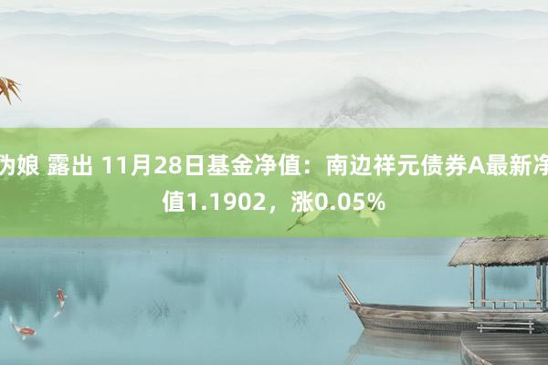 伪娘 露出 11月28日基金净值：南边祥元债券A最新净值1.1902，涨0.05%