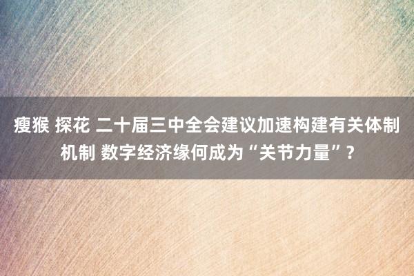 瘦猴 探花 二十届三中全会建议加速构建有关体制机制 数字经济缘何成为“关节力量”？