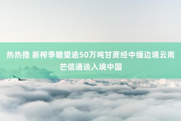 热热撸 新榨季瞻望逾50万吨甘蔗经中缅边境云南芒信通谈入境中国