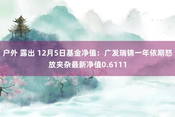 户外 露出 12月5日基金净值：广发瑞锦一年依期怒放夹杂最新净值0.6111