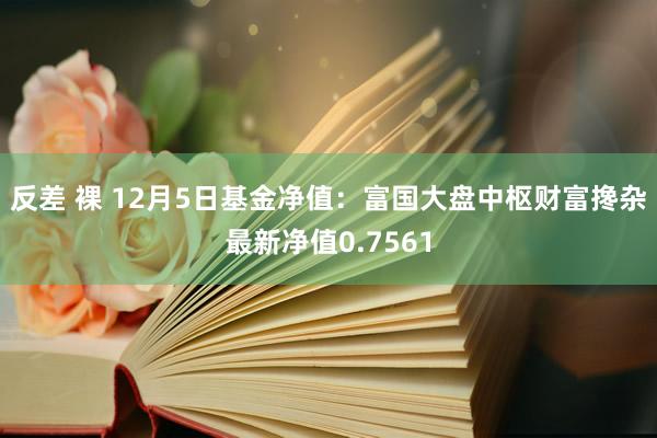 反差 裸 12月5日基金净值：富国大盘中枢财富搀杂最新净值0.7561