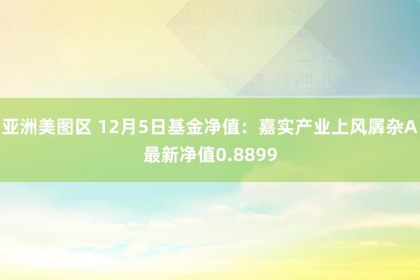 亚洲美图区 12月5日基金净值：嘉实产业上风羼杂A最新净值0.8899