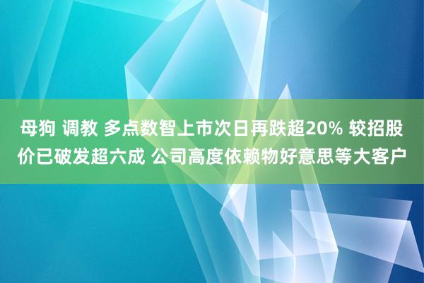 母狗 调教 多点数智上市次日再跌超20% 较招股价已破发超六成 公司高度依赖物好意思等大客户