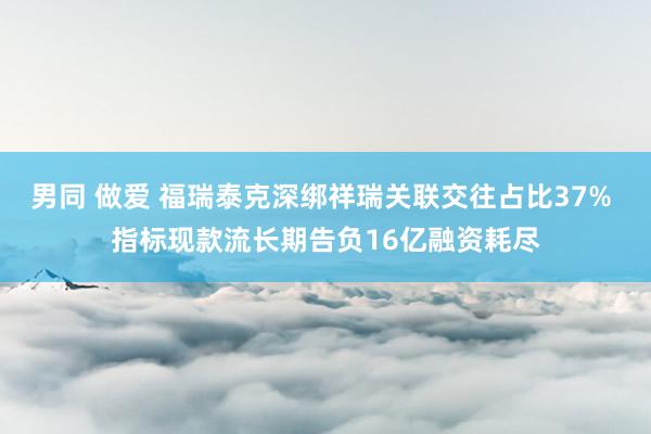 男同 做爱 福瑞泰克深绑祥瑞关联交往占比37% 指标现款流长期告负16亿融资耗尽