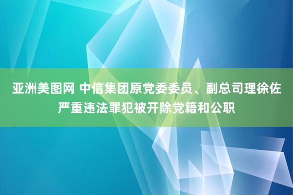 亚洲美图网 中信集团原党委委员、副总司理徐佐严重违法罪犯被开除党籍和公职