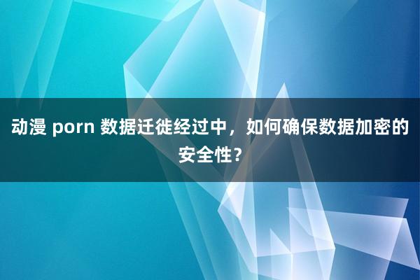 动漫 porn 数据迁徙经过中，如何确保数据加密的安全性？