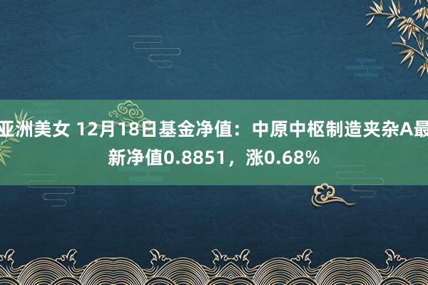 亚洲美女 12月18日基金净值：中原中枢制造夹杂A最新净值0.8851，涨0.68%