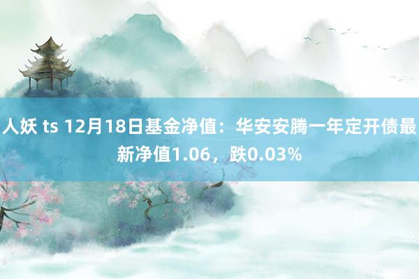 人妖 ts 12月18日基金净值：华安安腾一年定开债最新净值1.06，跌0.03%