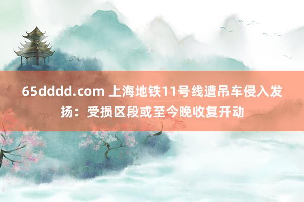 65dddd.com 上海地铁11号线遭吊车侵入发扬：受损区段或至今晚收复开动