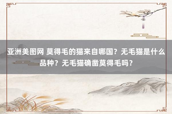 亚洲美图网 莫得毛的猫来自哪国？无毛猫是什么品种？无毛猫确凿莫得毛吗？