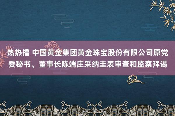 热热撸 中国黄金集团黄金珠宝股份有限公司原党委秘书、董事长陈端庄采纳圭表审查和监察拜谒