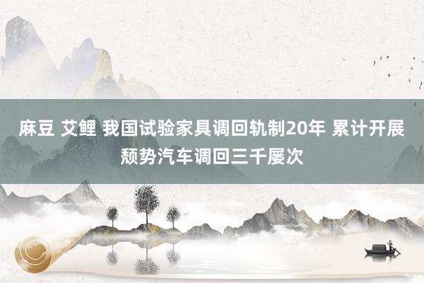 麻豆 艾鲤 我国试验家具调回轨制20年 累计开展颓势汽车调回三千屡次