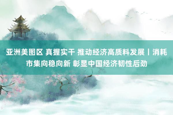 亚洲美图区 真握实干 推动经济高质料发展丨消耗市集向稳向新 彰显中国经济韧性后劲