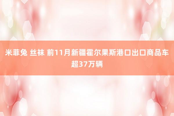 米菲兔 丝袜 前11月新疆霍尔果斯港口出口商品车超37万辆