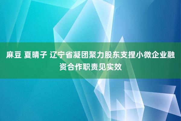 麻豆 夏晴子 辽宁省凝团聚力股东支捏小微企业融资合作职责见实效