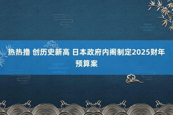 热热撸 创历史新高 日本政府内阁制定2025财年预算案