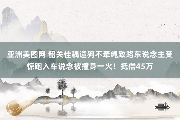 亚洲美图网 韶关佳耦遛狗不牵绳致路东说念主受惊跑入车说念被撞身一火！抵偿45万